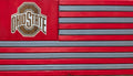 Ohio State Buckeyes